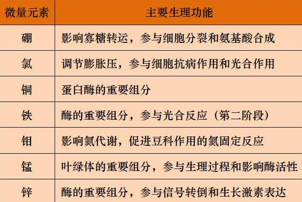 山東聊城全自動(dòng)血鉛檢測儀一體機(jī)：微量元素的主要作用8.20